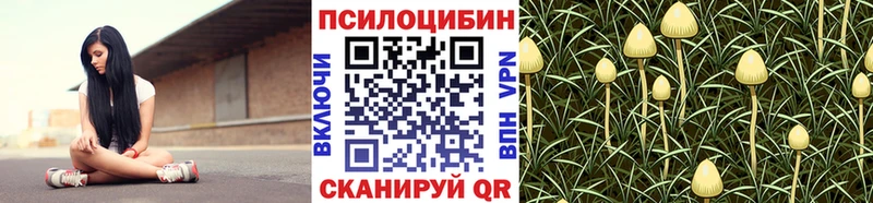 Купить  Новочебоксарск  Галлюциногенные грибы прущие грибы 